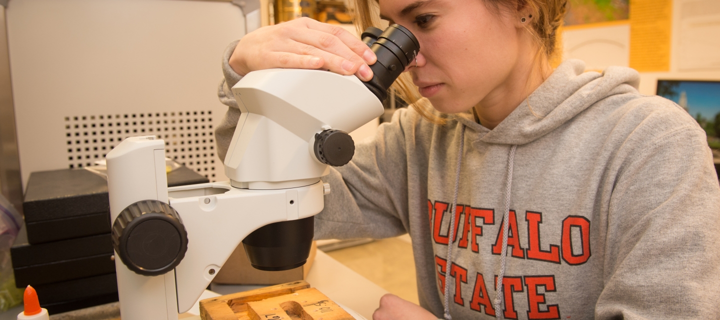 Student using microscope